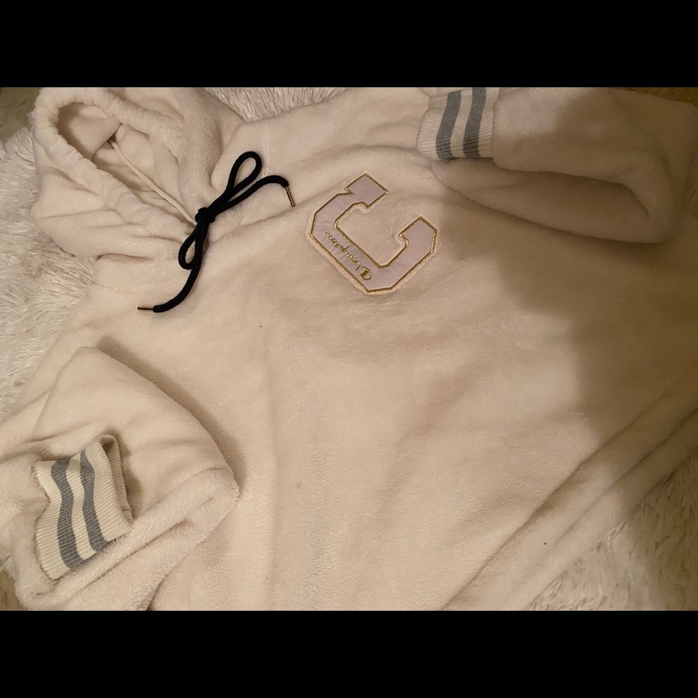 Champion sweater